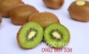 Quả kiwi xanh - anh 4